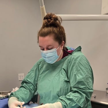 Owner and Veterinarian performing a procedure