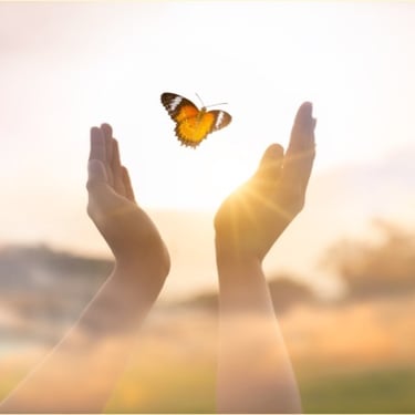 mains ouvertes qui libèrent un papillon dans la lumière