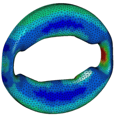 tests et simulations d'élasticité de la Pince en Silicone