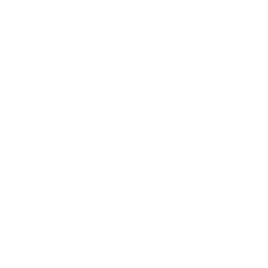 Icon of birds  in flight, symbolising taking a wider view of the situation