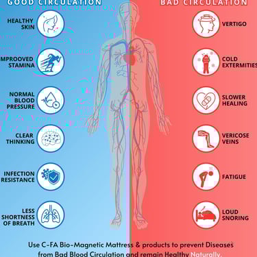 diagram representation of human body showing pros & cons of good vs bad blood circulation in the bod