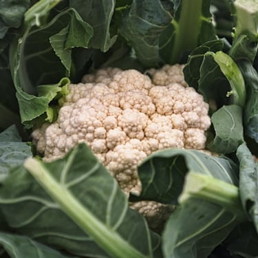 Cauliflower