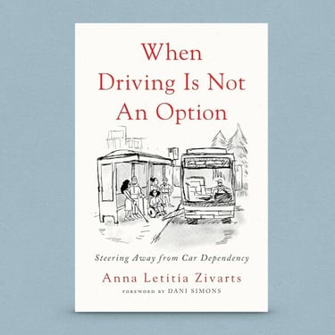 Photo of Anna's book, "When Driving is not an Option"