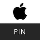 Consigue tu Pin