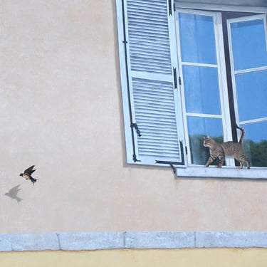 Fenêtre en trompe-l'oeil à Moirans-en-Montagne: un chat au bord d'une fenêtre regarde un oiseau.
