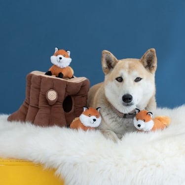 a dog is sitting on a furry rug with a stuffed animal