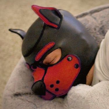 Sleeping man in a pup mask.