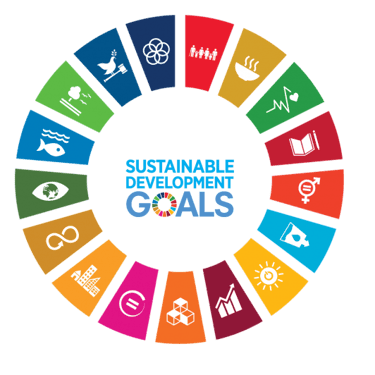 sustainability_development_goals_wheel