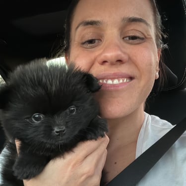 venta perrito pomerania argentina