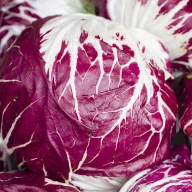 Radicchio