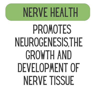 Mane Brain™ offers premium mushroom-based wellness products designed to support focus, memory,.