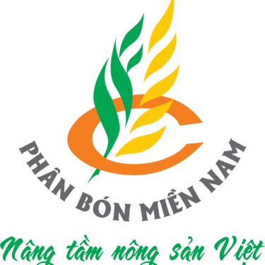Bấm để xem thêm