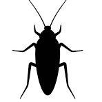 Cockroach_24/03/25