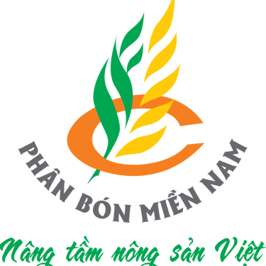 Bấm để xem thêm