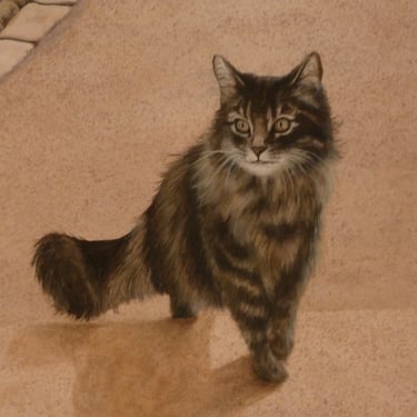 Détail d'une peinture murale: un chat à poils long marche face à nous. Arinthod, Jura 39.