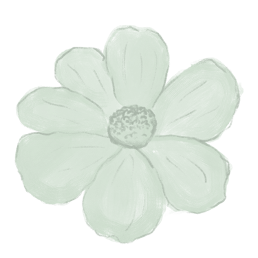 an illustrated cosmo flower in light green