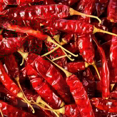 Red Chilli - WEARE OCEAN EXPORT