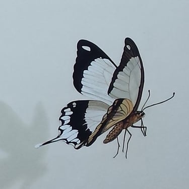 Détail d'une fresque peinte: un beau papillon noir et blanc vole. à Lons-le-Saunier (Jura, 39).