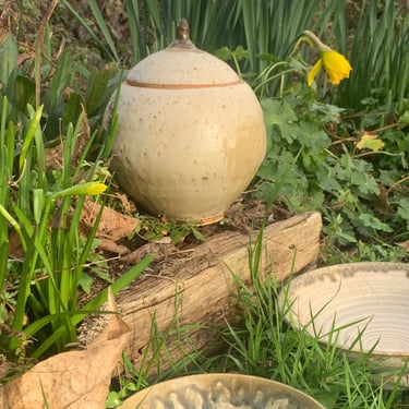 lidded pot and bowls