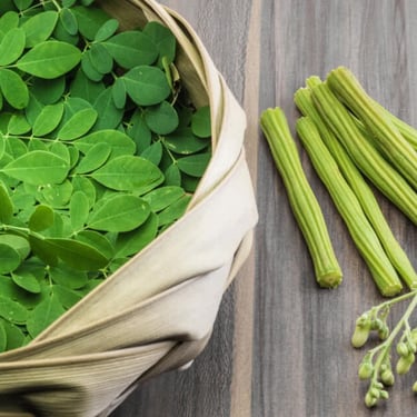 Moringa - WEARE OCEAN EXPORT
