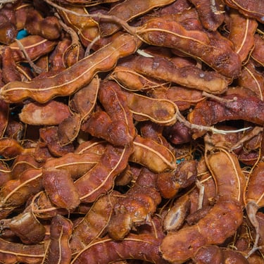 Tamarind - WEARE OCEAN EXPORT