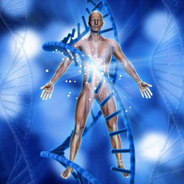corps physique