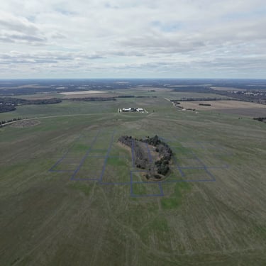 Top-down orthophoto perspective of Southeast Minnesota blufflands, crisp overcast daylight, muted green terrain with overlaid blue vector parcel boundaries, 35mm