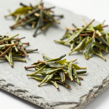 Close-up of raw botanical ingredients and green tea leaves arranged on a clean, light gray slate, bright daylight.