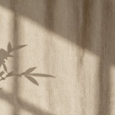 Close-up of natural textures, soft sunlight casting gentle shadows of leaves on a textured beige linen wall, peaceful and organic feel.