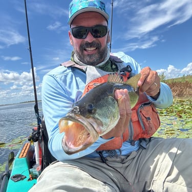 Largemouth bass