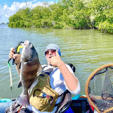 Black drum