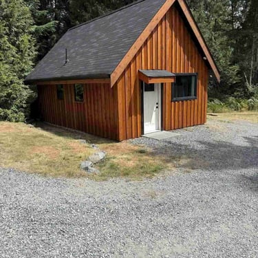 Modern small cabin with vertical wood siding, dark shingled gabled roof, black-framed windows, in a forested area.