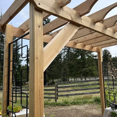 Close-up of a wooden pergola under construction with metal trellis, fence, and evergreen trees.