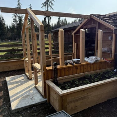 Wooden greenhouse frame under construction attached to a shed with planter box and tools.