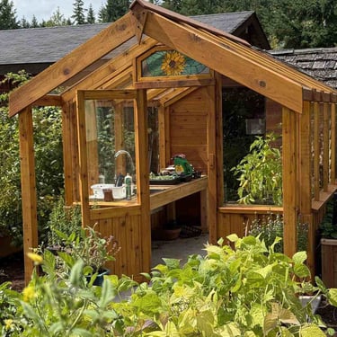 Rustic wooden greenhouse potting shed with glass panes, sunflower window, sink workbench, and surrounding plants.