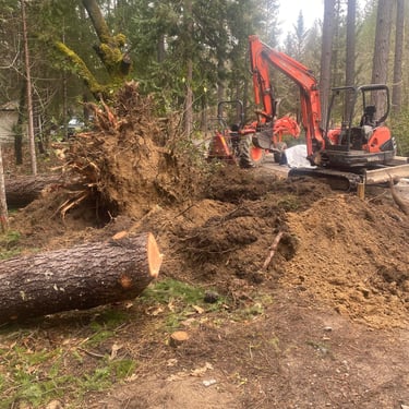 Excavator on right digging out large tree stump