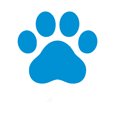 Trace de patte de chat