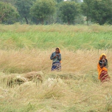 Field workers in rural India