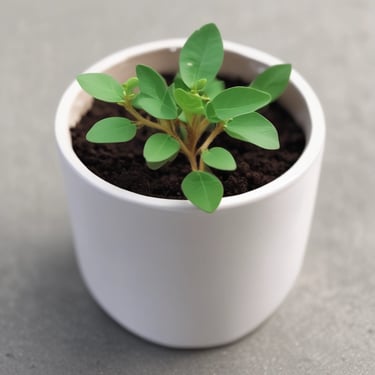 A young man in sports gear mid-action on a basketball court, beaming with joy.
