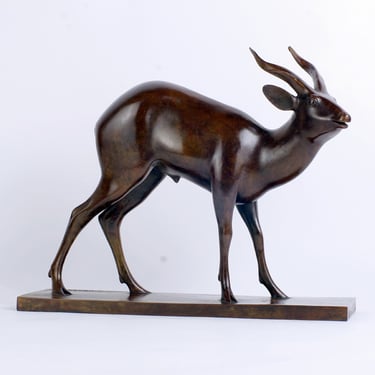 Armand Petersen - Antilope Guib