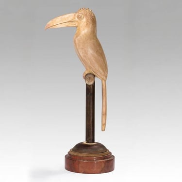 Toucan sur Perchoir