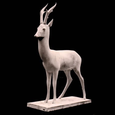 Armand Petersen - Grand Chevreuil