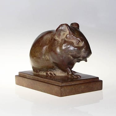 Armand Petersen - Cobaye cochon d'Inde