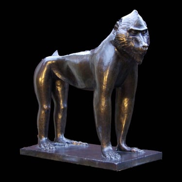 Armand Petersen - Grand singe Mandrill