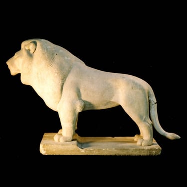 Armand Petersen - Lion