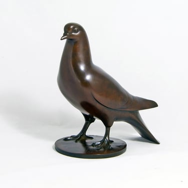 Armand Petersen - Pigeon Ramier