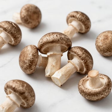 Fresh Shiitake mushrooms, Lentinula edodes, dark brown textured caps on a clean marble surface, bright daylight.