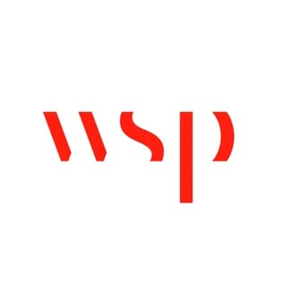 WSP therapy logo
