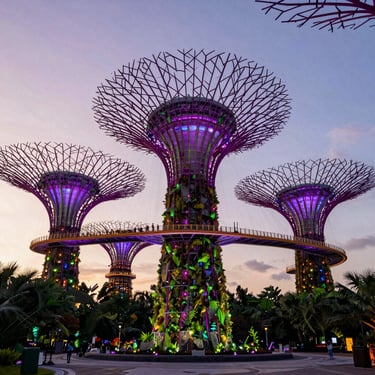 The iconic Supertree Grove at Gardens by the Bay illuminated at dusk, vibrant purple and green lights
