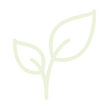 a green leafy plant with a green leaf